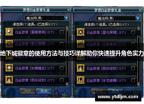 地下城徽章的使用方法与技巧详解助你快速提升角色实力