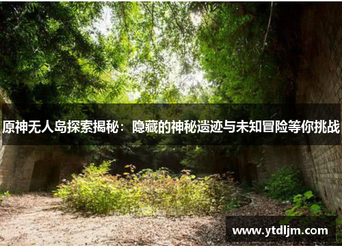 原神无人岛探索揭秘：隐藏的神秘遗迹与未知冒险等你挑战