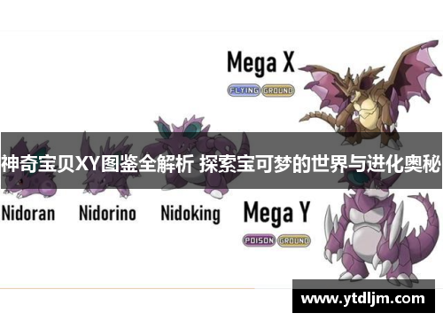 神奇宝贝XY图鉴全解析 探索宝可梦的世界与进化奥秘