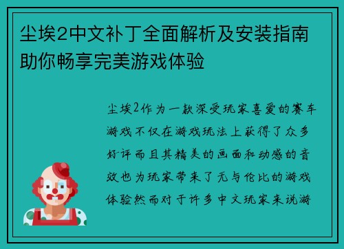 尘埃2中文补丁全面解析及安装指南 助你畅享完美游戏体验