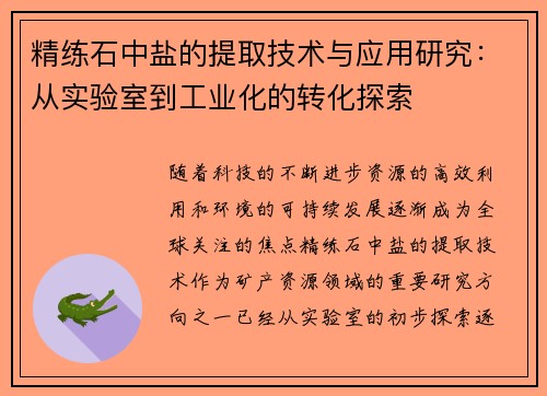 精练石中盐的提取技术与应用研究：从实验室到工业化的转化探索